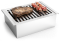 Barbecue inox de table portable professionnel au charbon
