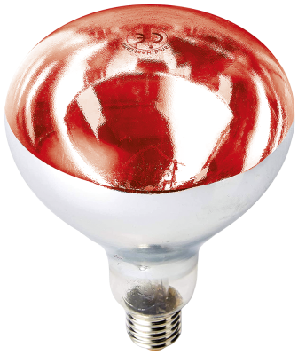 Ampoule chauffante incassable à lumière rouge ES-250W