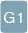 G1