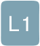 L1